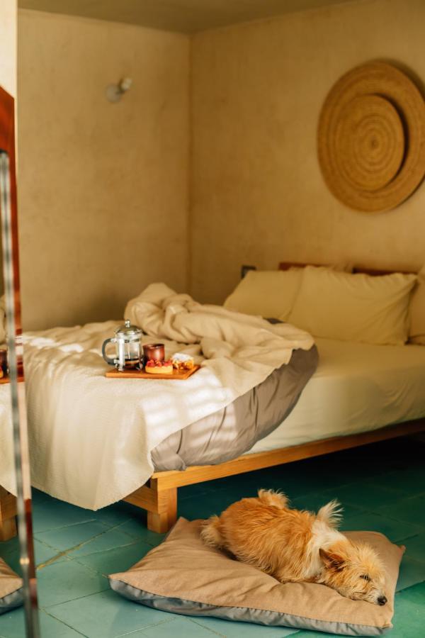 Отель Boulenc Bed And Bread Oaxaca Экстерьер фото
